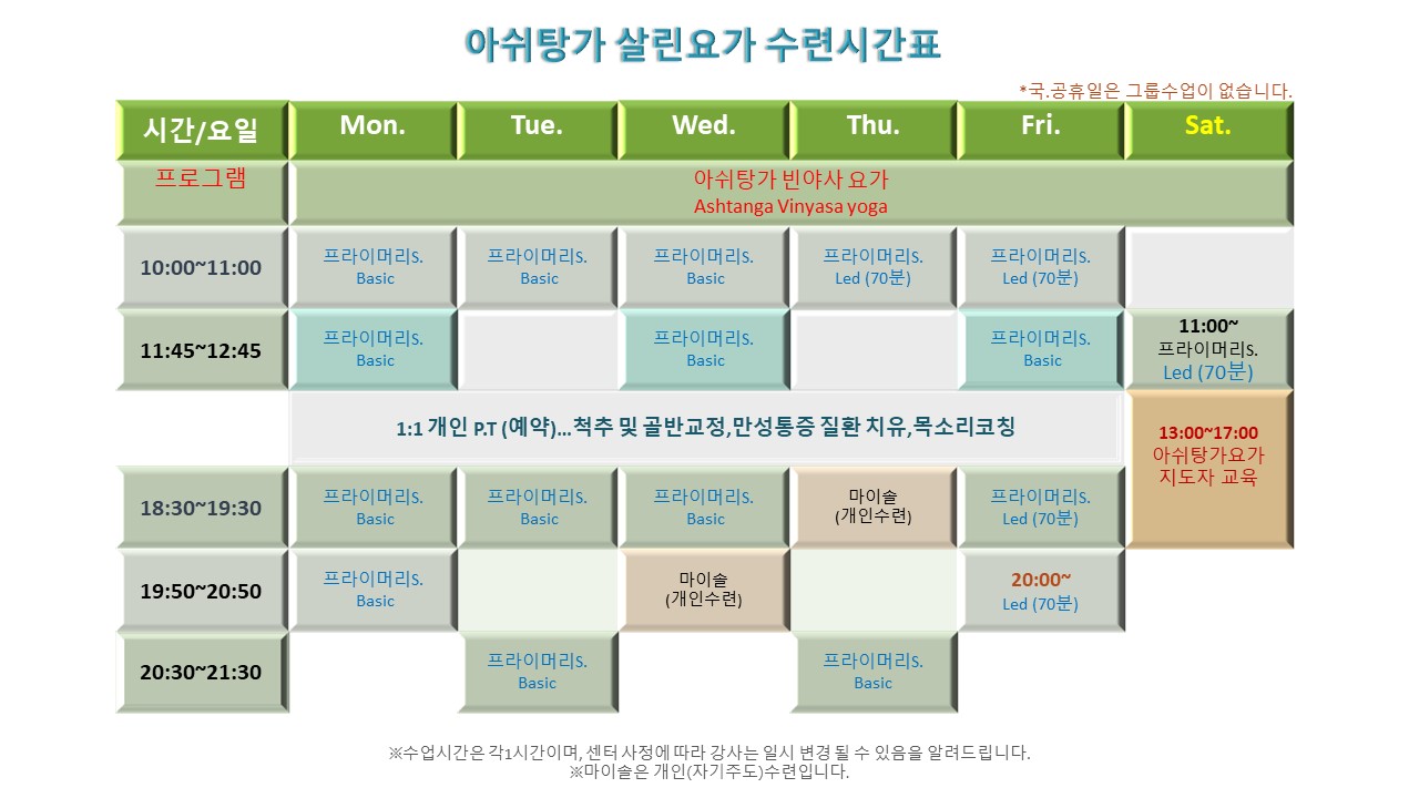 살린요가_내용