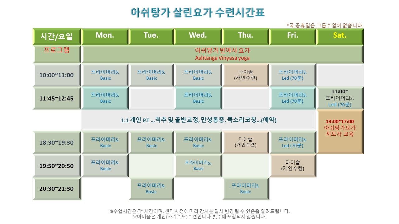살린요가_내용